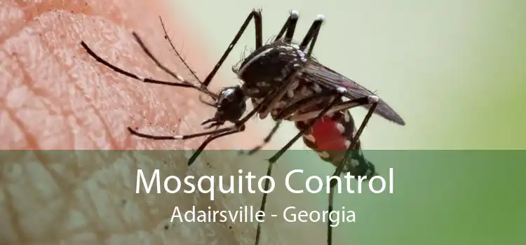 Mosquito Control Adairsville - Georgia