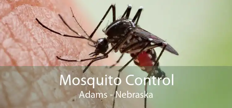 Mosquito Control Adams - Nebraska
