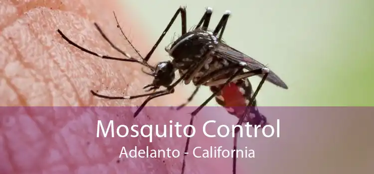 Mosquito Control Adelanto - California
