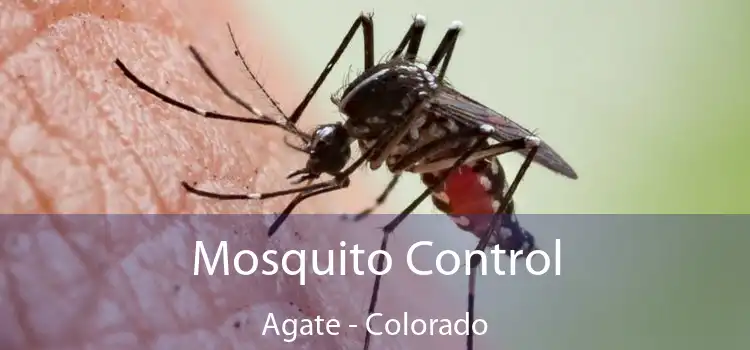 Mosquito Control Agate - Colorado