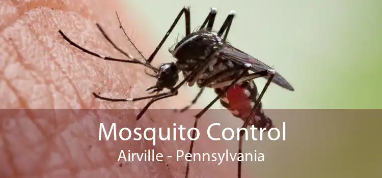 Mosquito Control Airville - Pennsylvania