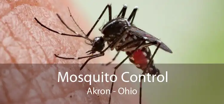 Mosquito Control Akron - Ohio
