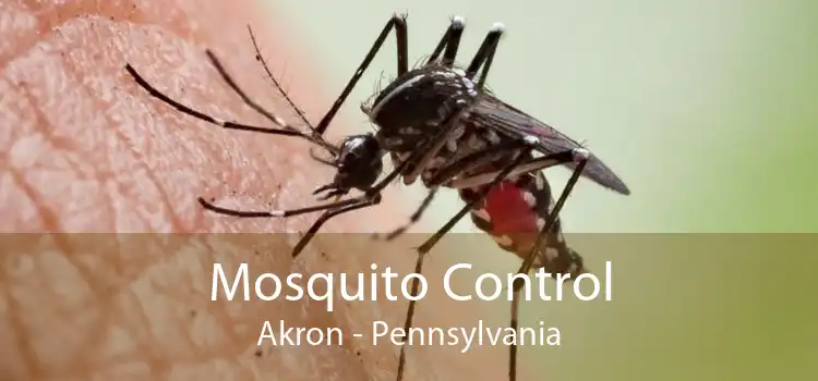 Mosquito Control Akron - Pennsylvania