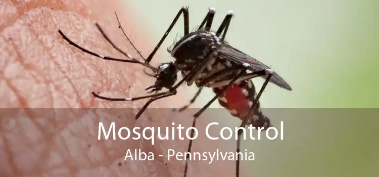 Mosquito Control Alba - Pennsylvania