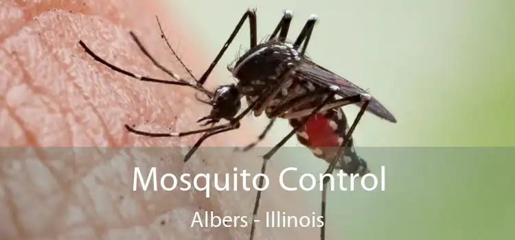 Mosquito Control Albers - Illinois