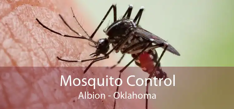 Mosquito Control Albion - Oklahoma