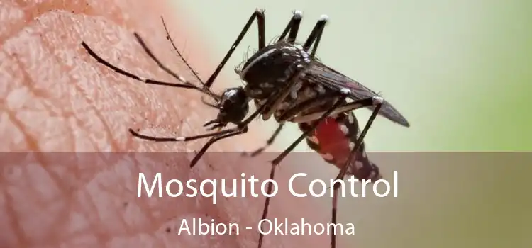 Mosquito Control Albion - Oklahoma