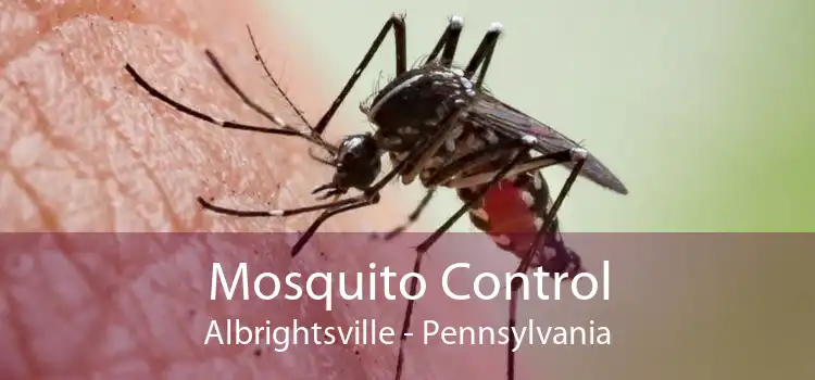 Mosquito Control Albrightsville - Pennsylvania