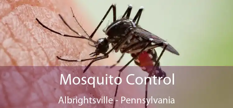 Mosquito Control Albrightsville - Pennsylvania