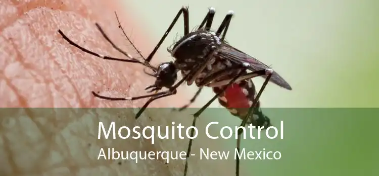 Mosquito Control Albuquerque - New Mexico
