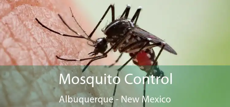 Mosquito Control Albuquerque - New Mexico