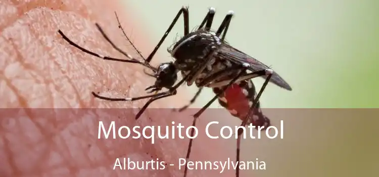 Mosquito Control Alburtis - Pennsylvania