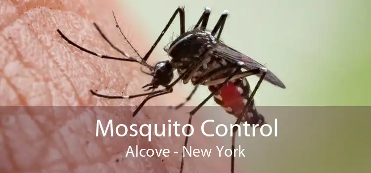 Mosquito Control Alcove - New York
