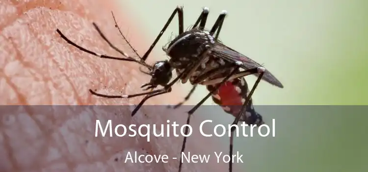 Mosquito Control Alcove - New York