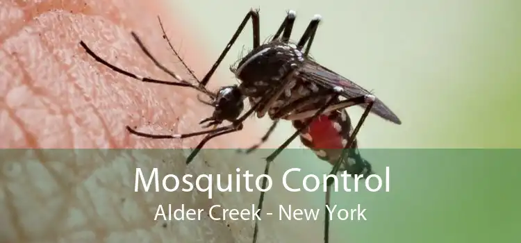 Mosquito Control Alder Creek - New York