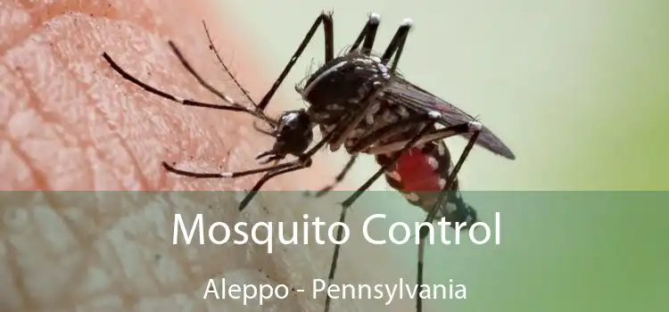 Mosquito Control Aleppo - Pennsylvania