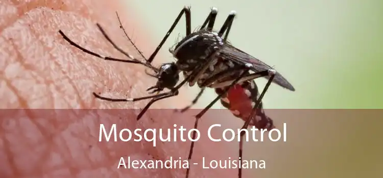 Mosquito Control Alexandria - Louisiana