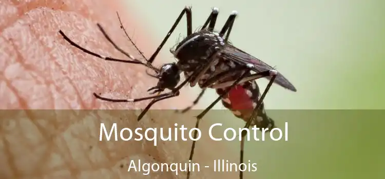 Mosquito Control Algonquin - Illinois