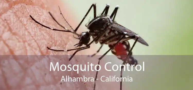 Mosquito Control Alhambra - California