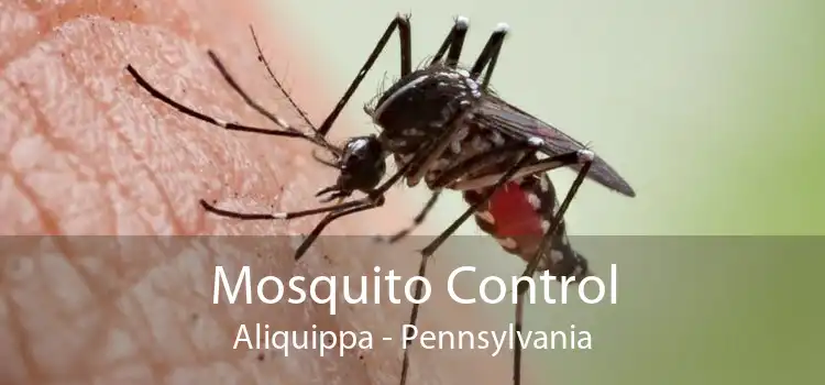 Mosquito Control Aliquippa - Pennsylvania