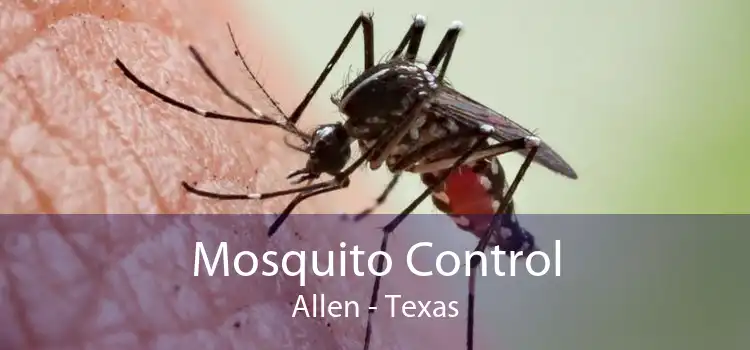 Mosquito Control Allen - Texas