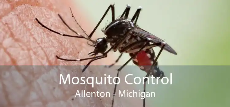 Mosquito Control Allenton - Michigan