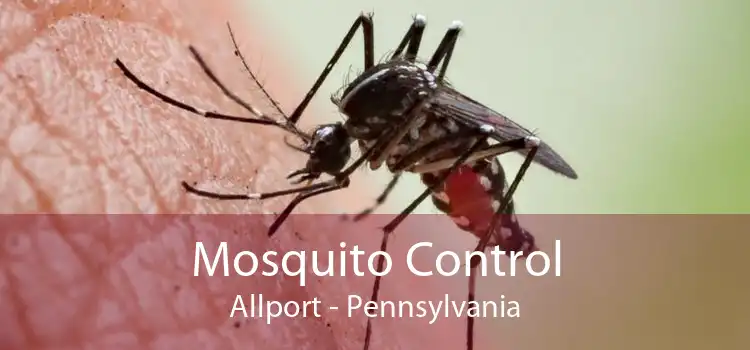 Mosquito Control Allport - Pennsylvania