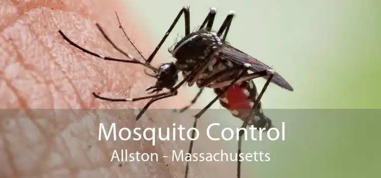 Mosquito Control Allston - Massachusetts
