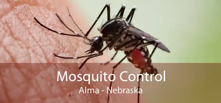 Mosquito Control Alma - Nebraska