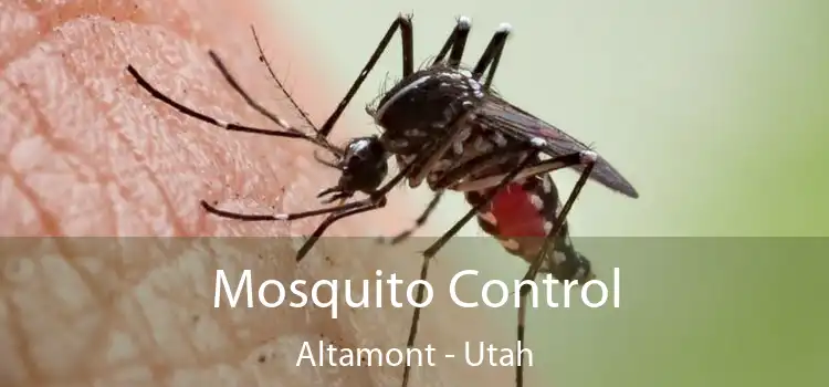 Mosquito Control Altamont - Utah