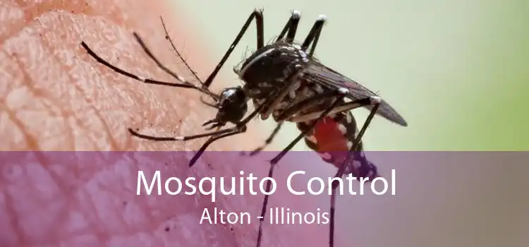 Mosquito Control Alton - Illinois