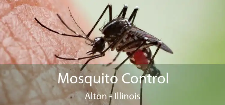 Mosquito Control Alton - Illinois