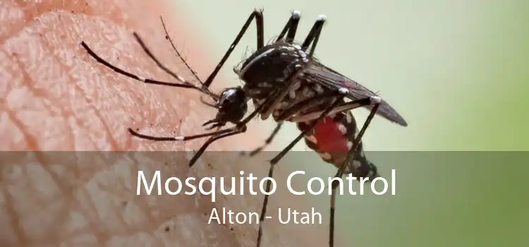 Mosquito Control Alton - Utah