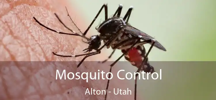 Mosquito Control Alton - Utah