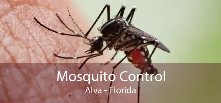 Mosquito Control Alva - Florida