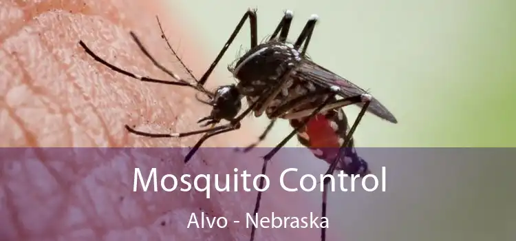 Mosquito Control Alvo - Nebraska