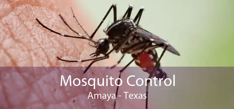 Mosquito Control Amaya - Texas