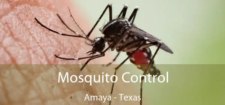 Mosquito Control Amaya - Texas