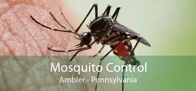 Mosquito Control Ambler - Pennsylvania
