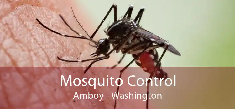 Mosquito Control Amboy - Washington