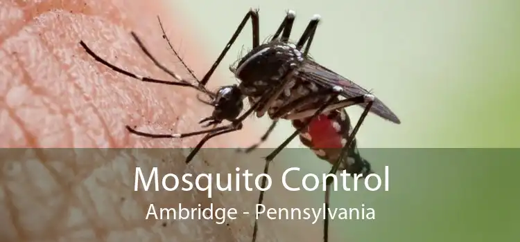 Mosquito Control Ambridge - Pennsylvania