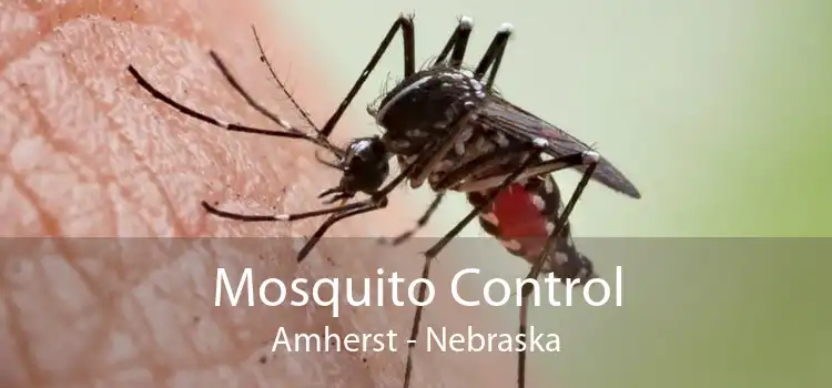 Mosquito Control Amherst - Nebraska
