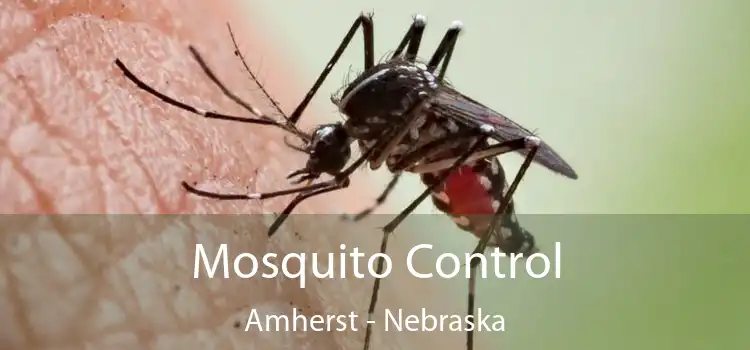 Mosquito Control Amherst - Nebraska