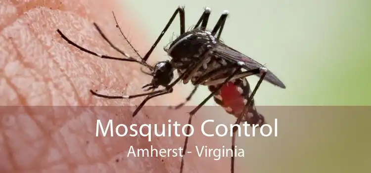 Mosquito Control Amherst - Virginia