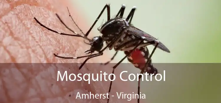Mosquito Control Amherst - Virginia