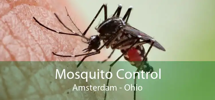 Mosquito Control Amsterdam - Ohio
