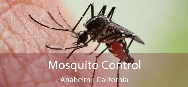 Mosquito Control Anaheim - California