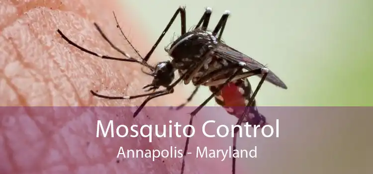 Mosquito Control Annapolis - Maryland