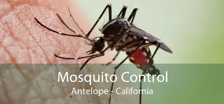 Mosquito Control Antelope - California