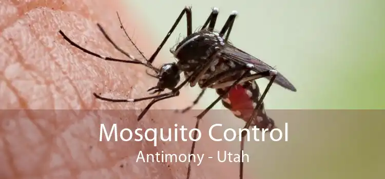 Mosquito Control Antimony - Utah